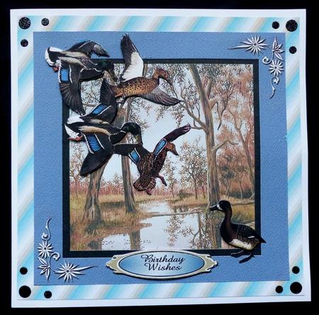 Colourful Birds Series - Quick Card 2 by Maz Kfk