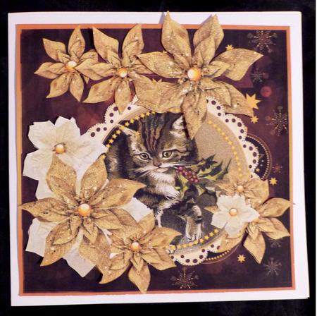 Vintage Cat & Poinsettias by Maz Kfk