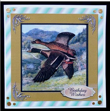 2 Wild Ducks - Card Front by Maz Kfk