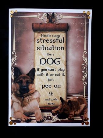 Handle Every Stressful Situation Like a Dog - german Shepherd by Maz Kfk