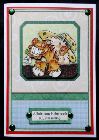 Long in the Tooth Birthday Decoupage by Maz Kfk