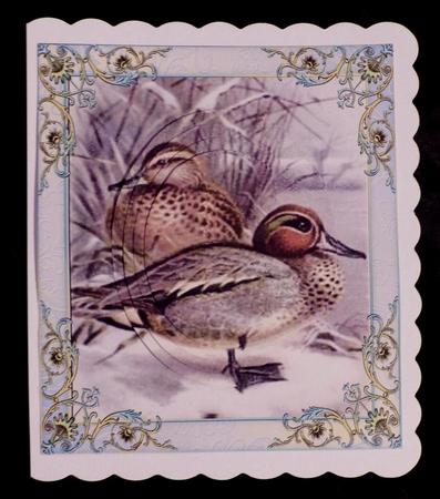 Christmas in the Reeds by Maz Kfk