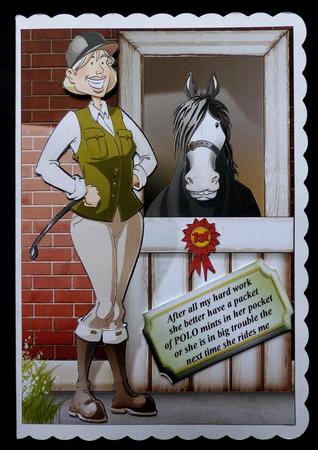 Horse Rider Lady Blond by Maz Kfk