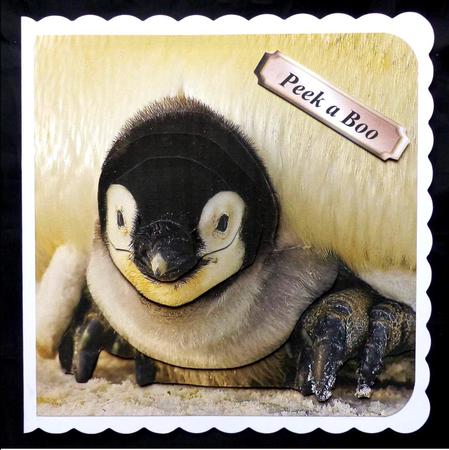 Because We Love Furries - Penguin 3D + Insert & Tag by Maz Kfk