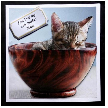 Furry Friends & Familiars - Kitten - My Special Dish + Tag + by Maz Kfk