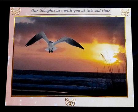 Bg Seagull by Maz Kfk
