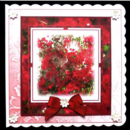 Bougainvillia Topper by Maz Kfk
