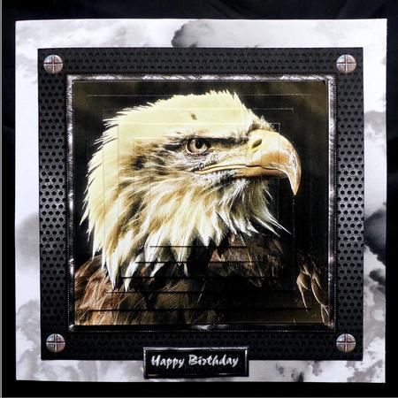 Eagle by Maz Kfk