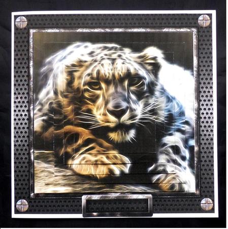 Big Cat by Maz Kfk