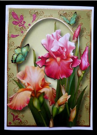 Beautiful Blush Iris A5 by Maz Kfk