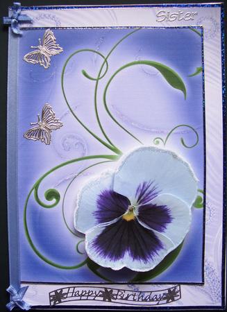 Pansy Perfection by Maz Kfk