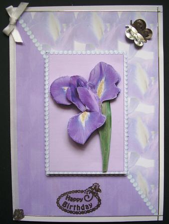 Purple Iris Step by Step by Maz Kfk