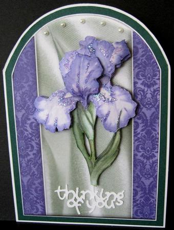Purple Iris Rounded Quick Card by Marion Evans