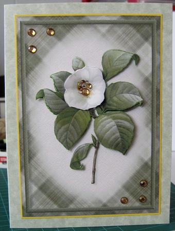Cream Flower Card Front by Marion Evans