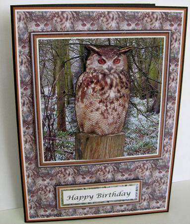 Eagle Owl Background Sheet by Marion Evans