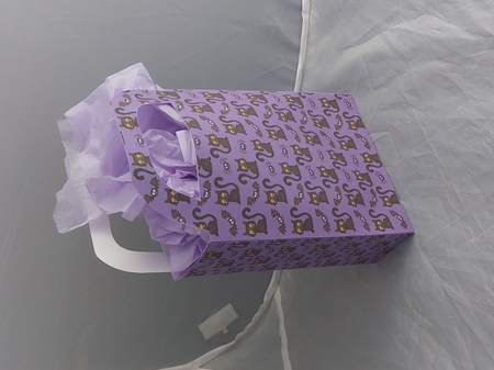 Halloween cats and bats gift bag by Marion Harding
