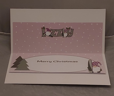 Christmas Gnomes snowboarding IZZY large dl insert by Marion Harding