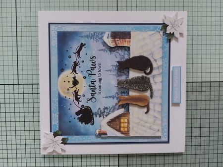 SANTA PAWS - CATS by Marion Harding