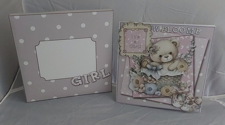 Baby Girl Welcome by Marion Harding