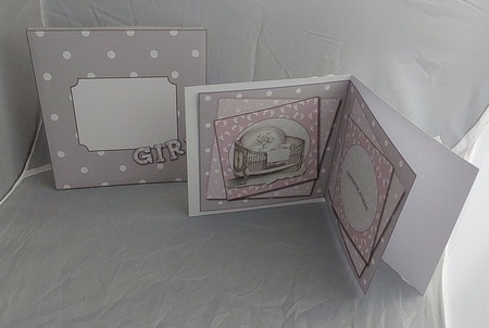 Baby Girl Welcome by Marion Harding