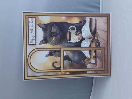 Fathers Day Book Loving Cat Bookmark Card by Marion Harding