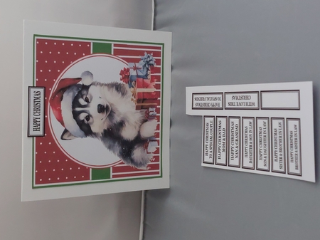 CHRISTMAS DOG 6 by Marion Harding