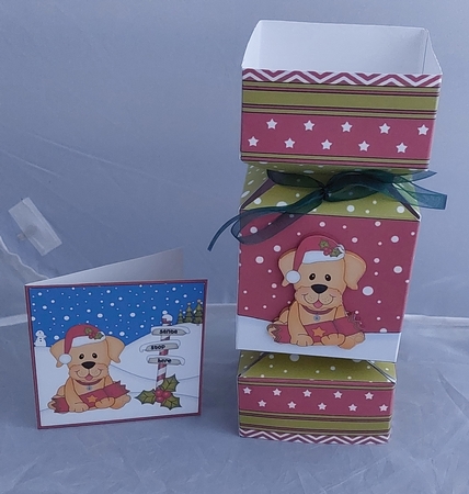 3D Large Christmas Cracker Box Mini Kit - Cute Little Golden Labrador Dog by Marion Harding
