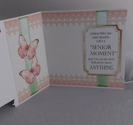 Its Fun being a Seen-Ager ( Senior Teenager) 16 by Marion Harding