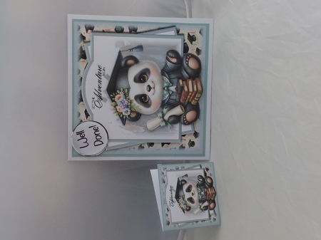 Graduation Panda by Marion Harding