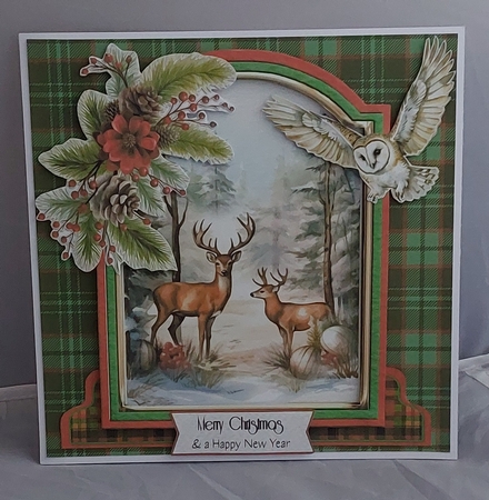 Winter Woodland 6 by Marion Harding