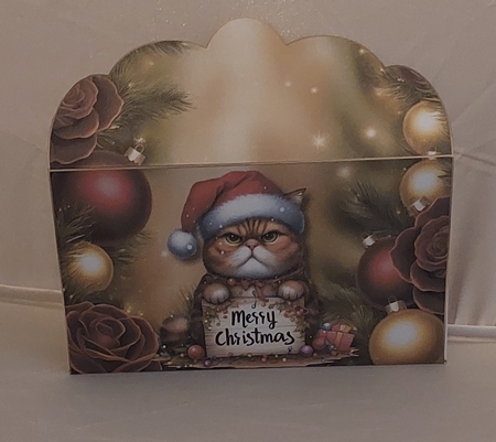 Christmas Money Envelope 4 - Christmas Cat by Marion Harding