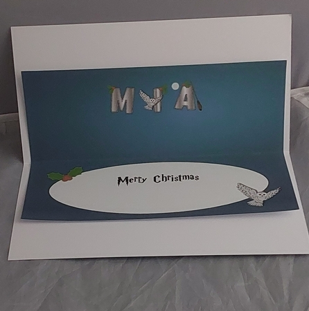 Christmas Wizard & Magic MIA large dl insert by Marion Harding