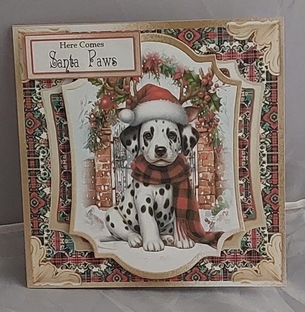 Barks & Holly 7 by Marion Harding