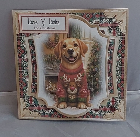 Barks & Holly 12 by Marion Harding