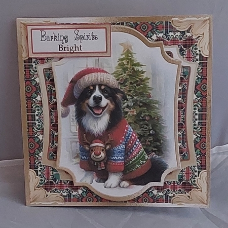 Barks & Holly 14 by Marion Harding