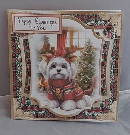 Barks & Holly 20 by Marion Harding