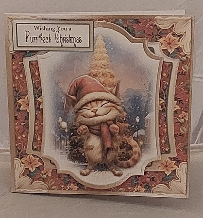 Festive Crazy Cats 5 by Marion Harding