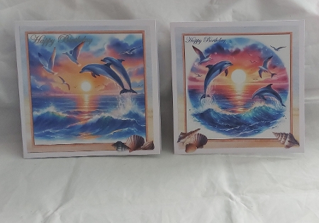 Dolphin play by Marion Harding