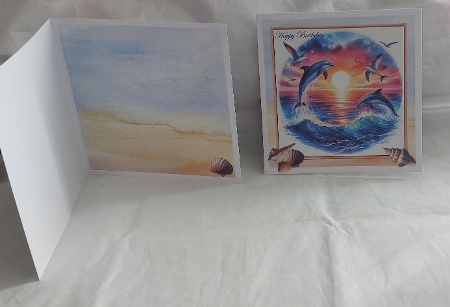 Dolphin play by Marion Harding