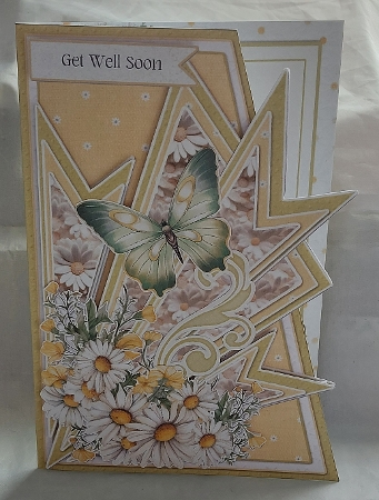 Fan-tastic White Daisies 8 5x7 by Marion Harding