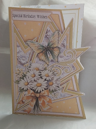 Fan-tastic White Daisies 10 5x7 by Marion Harding