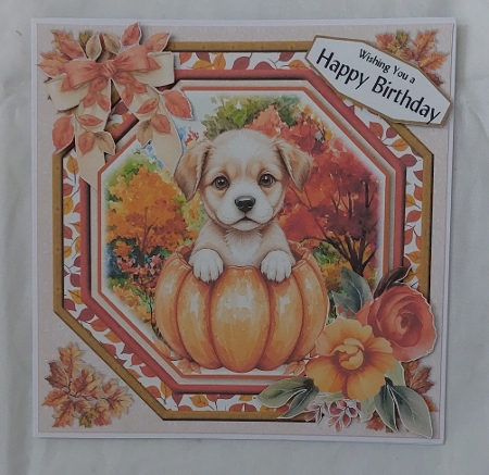Pawsome Autumn 12 by Marion Harding