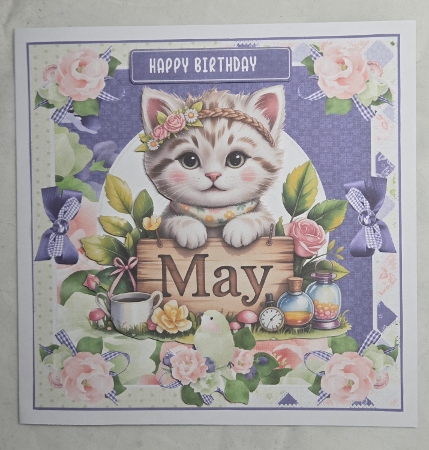 7 X 7 MINI CAT MAY by Marion Harding