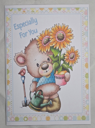 A5 Especially for you  by Marion Harding