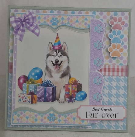 Paw-ty Time 7 6x6 by Marion Harding