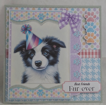 Paw-ty Time 8 6x6 by Marion Harding