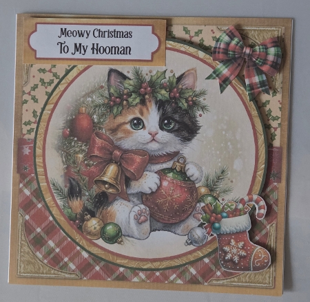 Claws for Christmas 6 6x6 by Marion Harding
