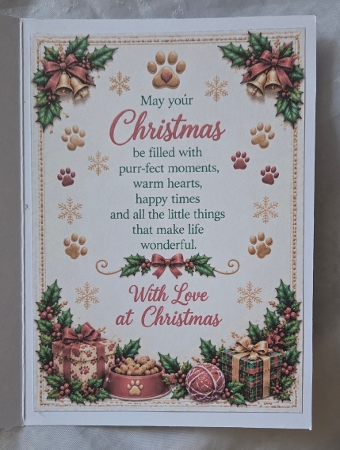 santa paws cat Featured Gallery Photo