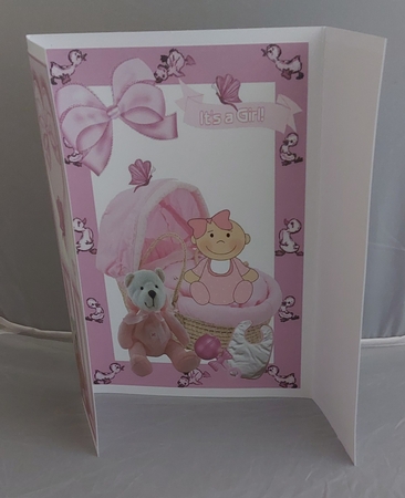 Little Baby Girl and Pink Crib, Gatefold by Marion Harding