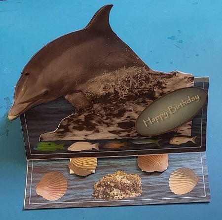 Dolphin Easel Card Kit by Marion Harding